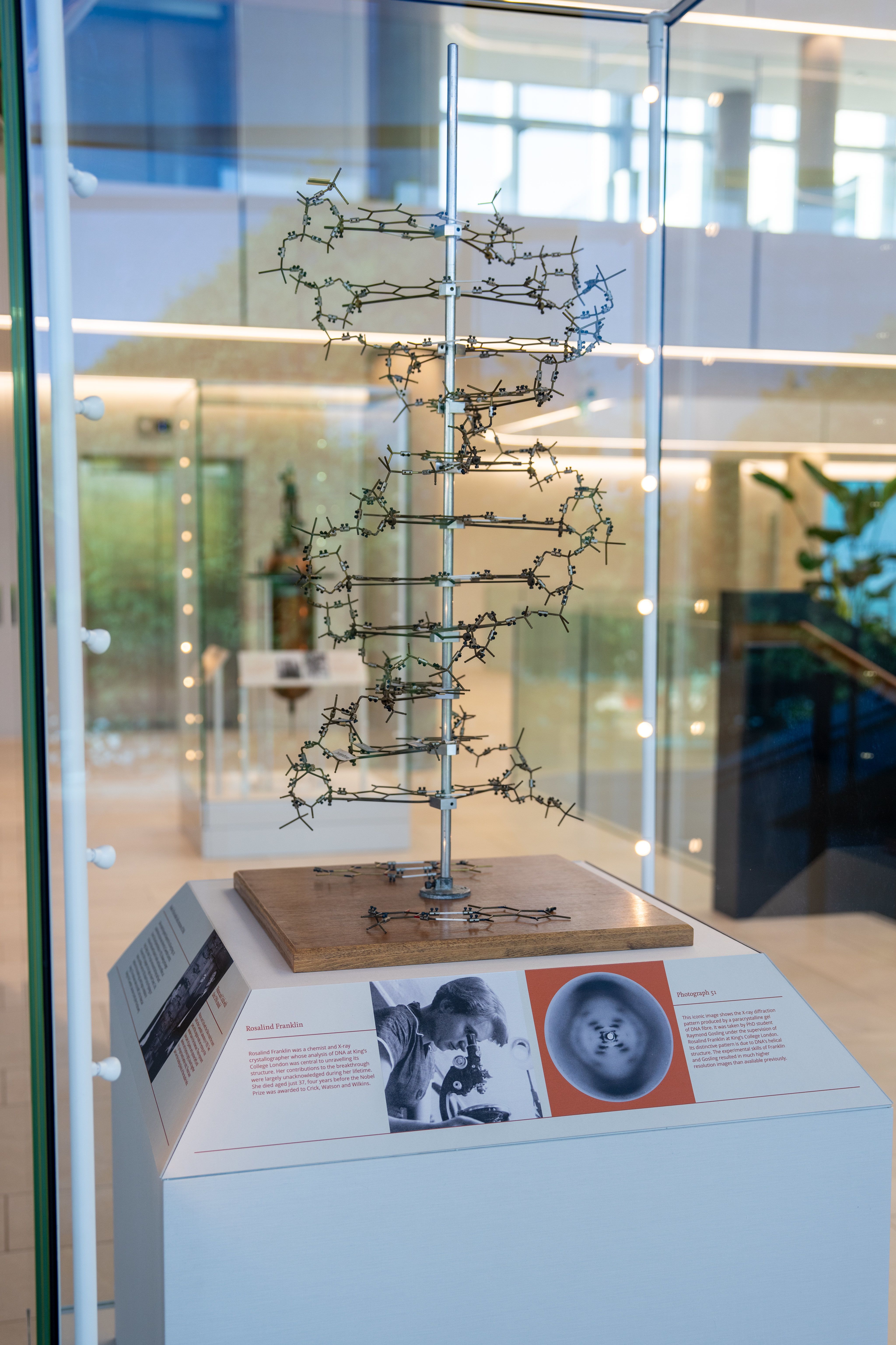 New Cavendish Museum Feature Image