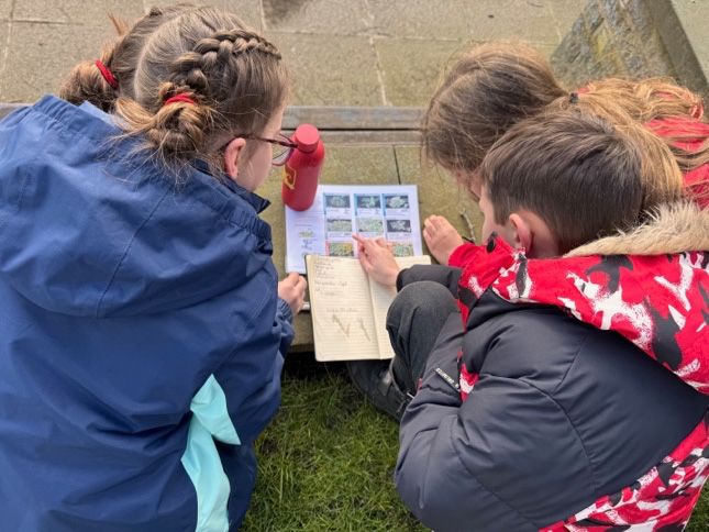 Primary school children from Rochdale making observations about the different types of lichen they saw on trees. 