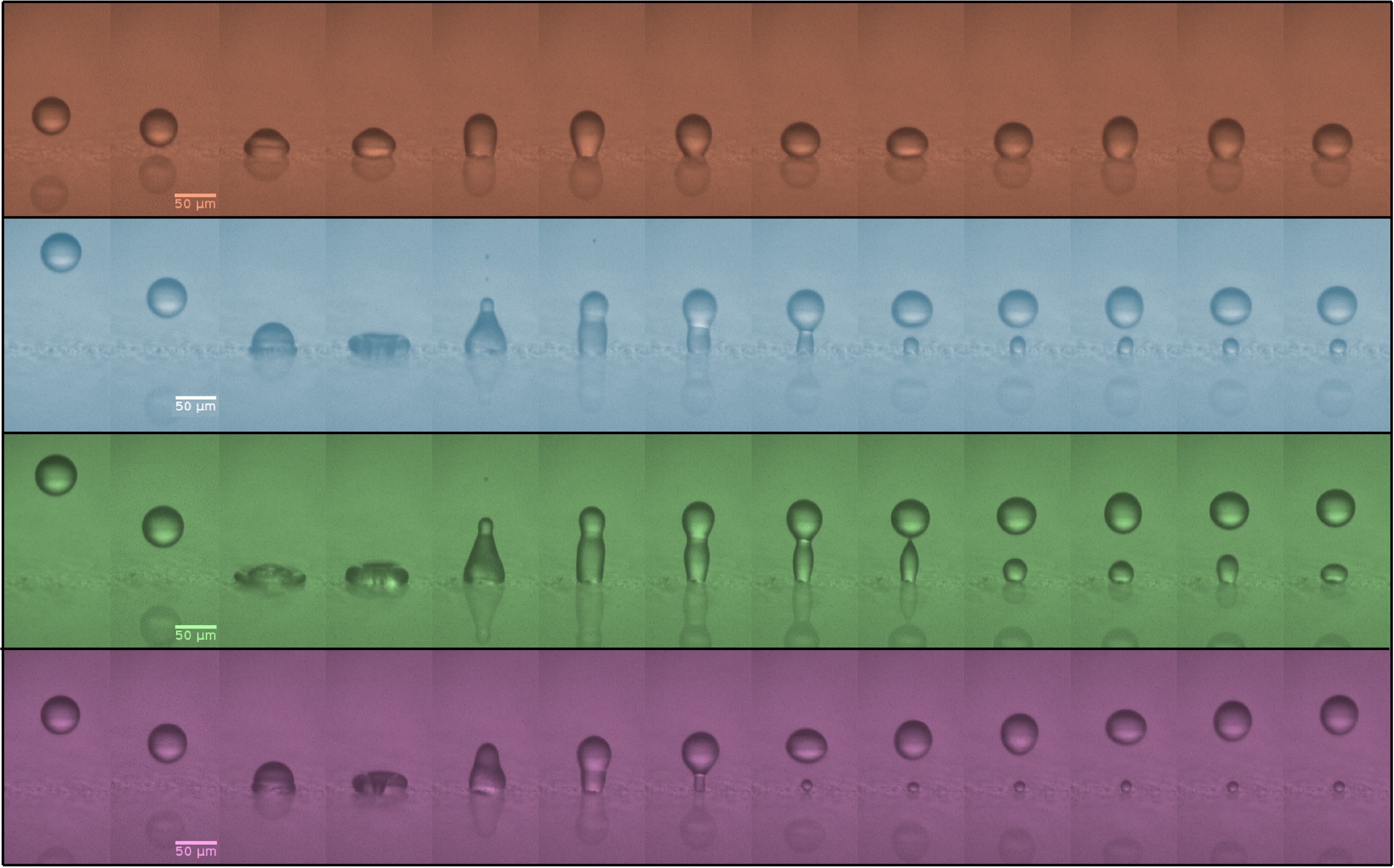 Bounce or Stick? Microdroplet Impact Dynamics, by Jamie McLauchlan