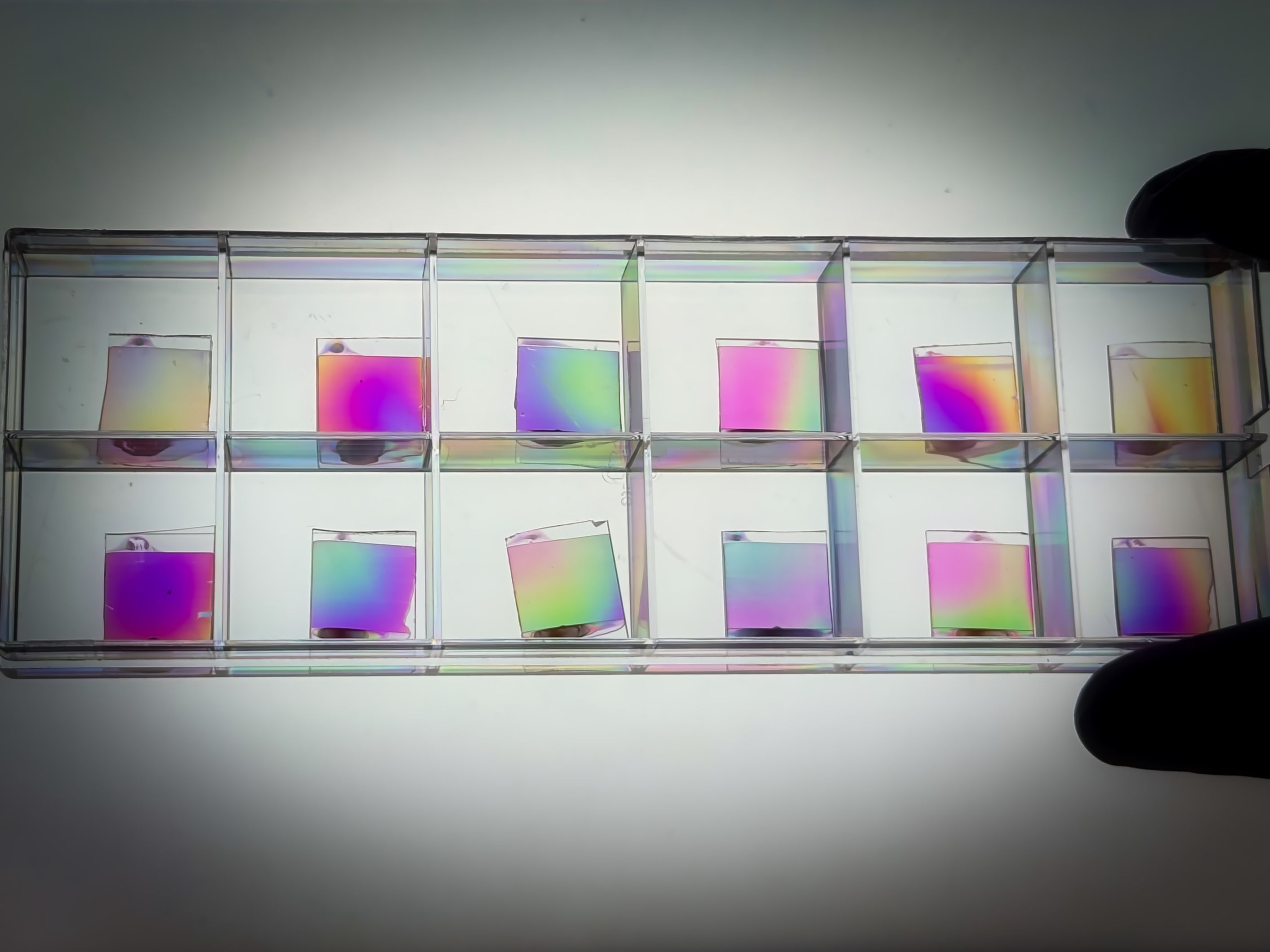 Rainbows from Order Hidden in Disorder, by Juncheng Fan