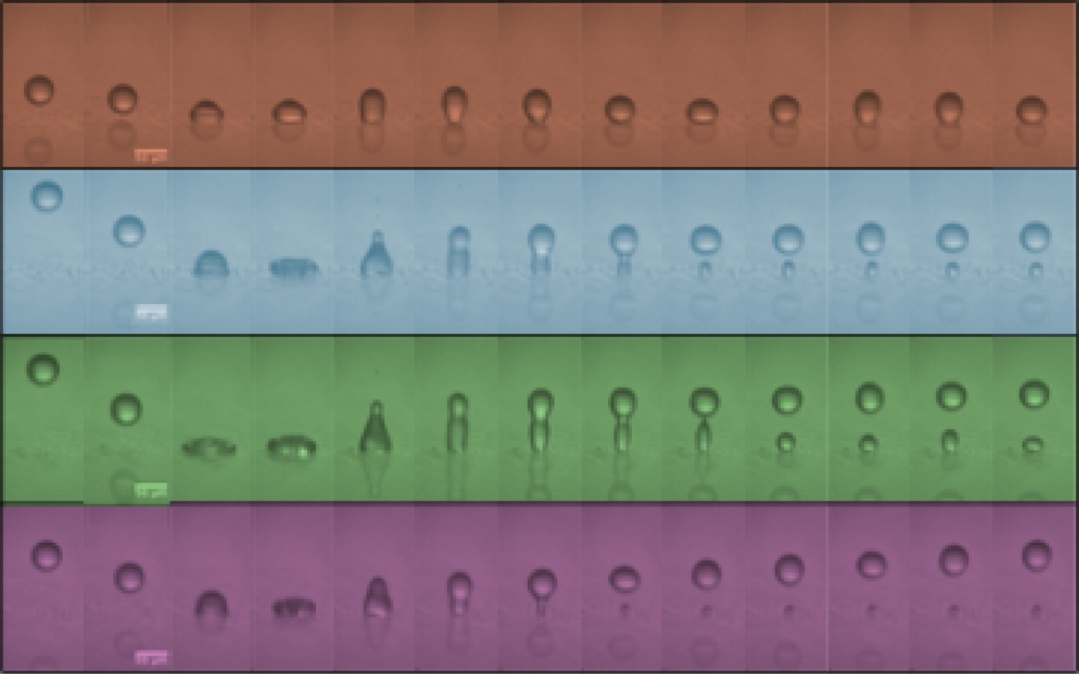 Droplets impacting a nanoparticle coated glass surface, increasing in speed from top row to bottom. From 2m/s to 7m/s, each image taken 0.01ms apart.