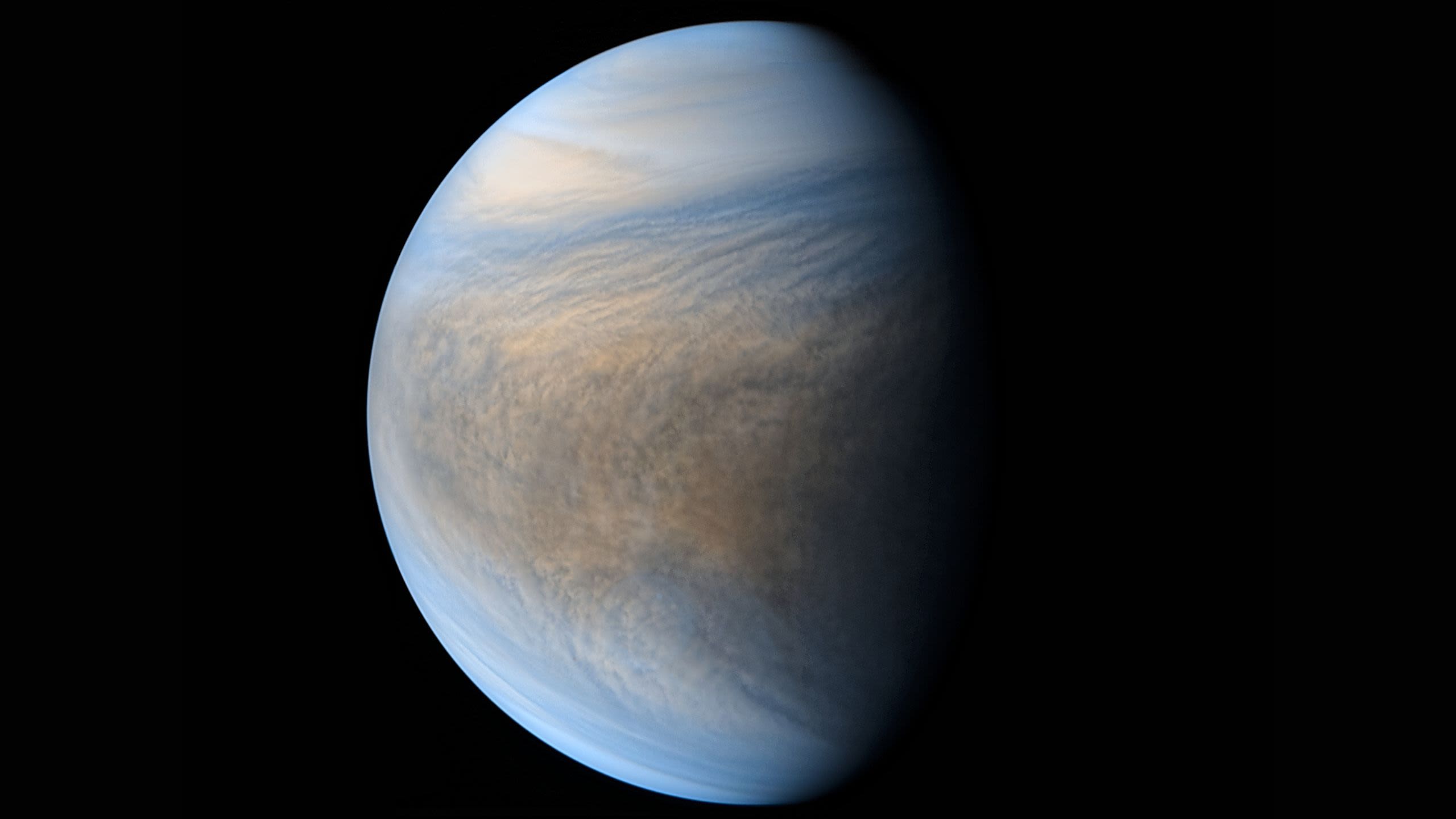 close up of Venus